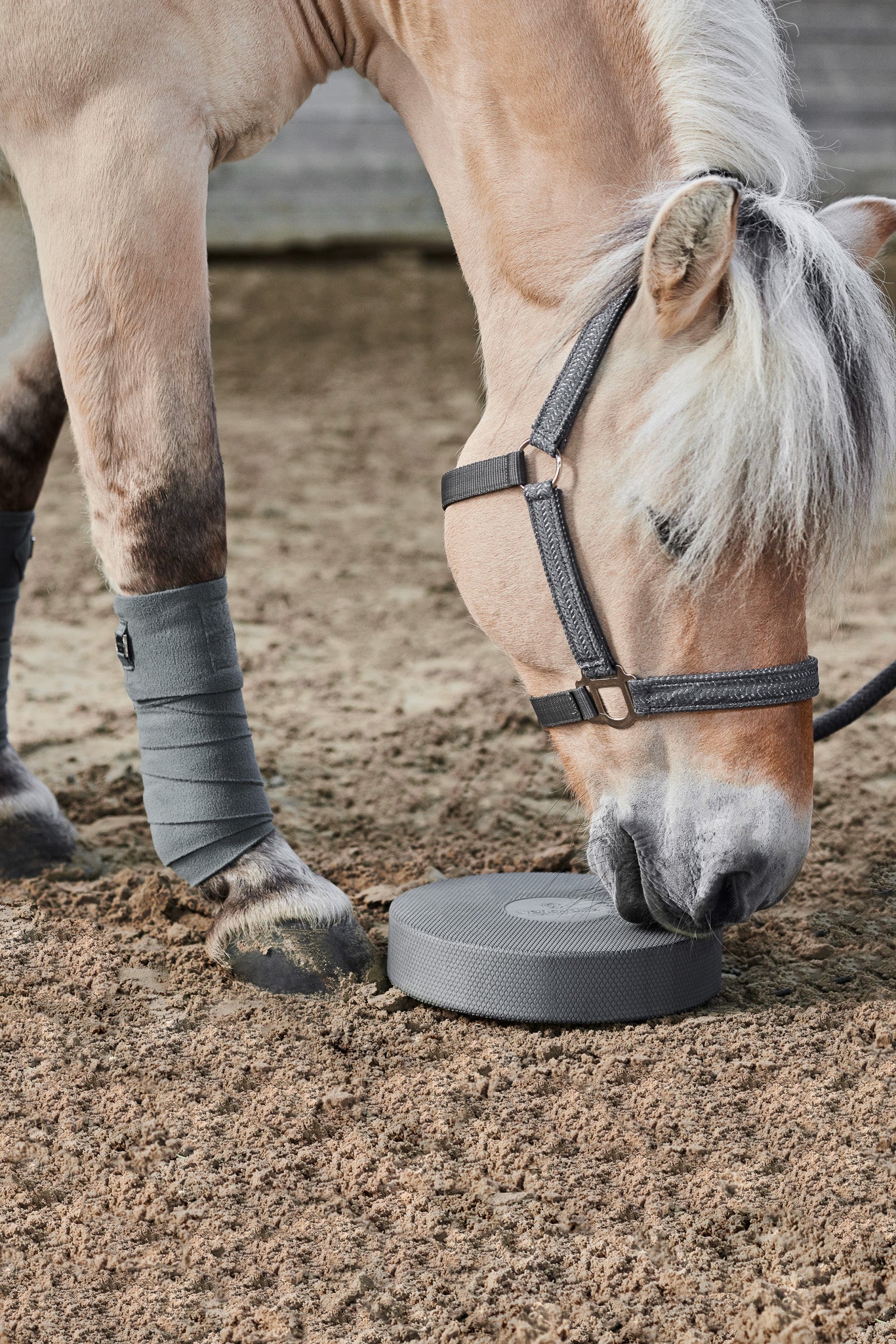 NØRSHOLM EQUESTRIAN- Balance Pads für  Pferde 2er Set