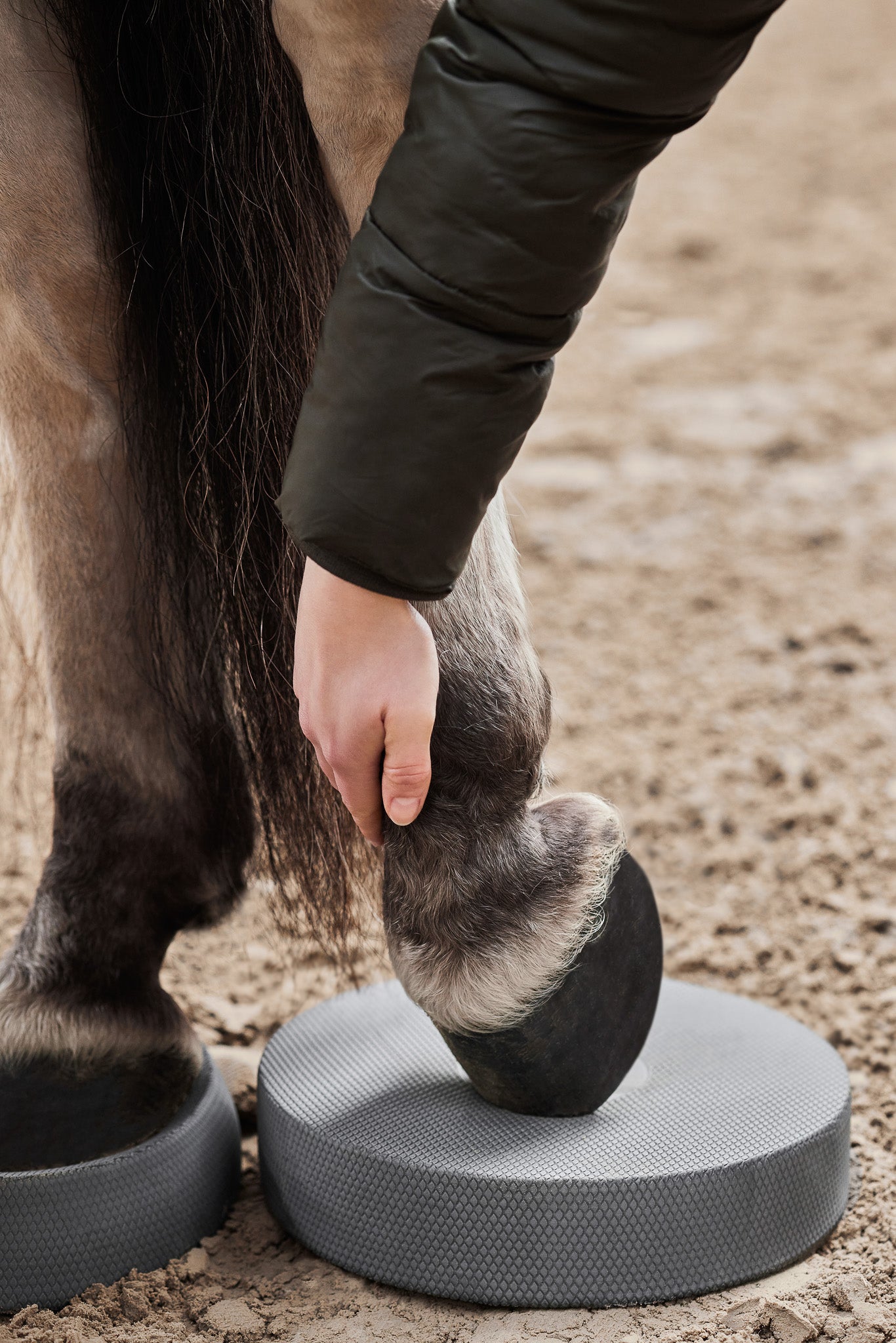 NØRSHOLM EQUESTRIAN- Balance Pads für  Pferde 2er Set