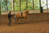 Schonendes Training mit Horse Bodyformer für Pferde in der Reha-Phase