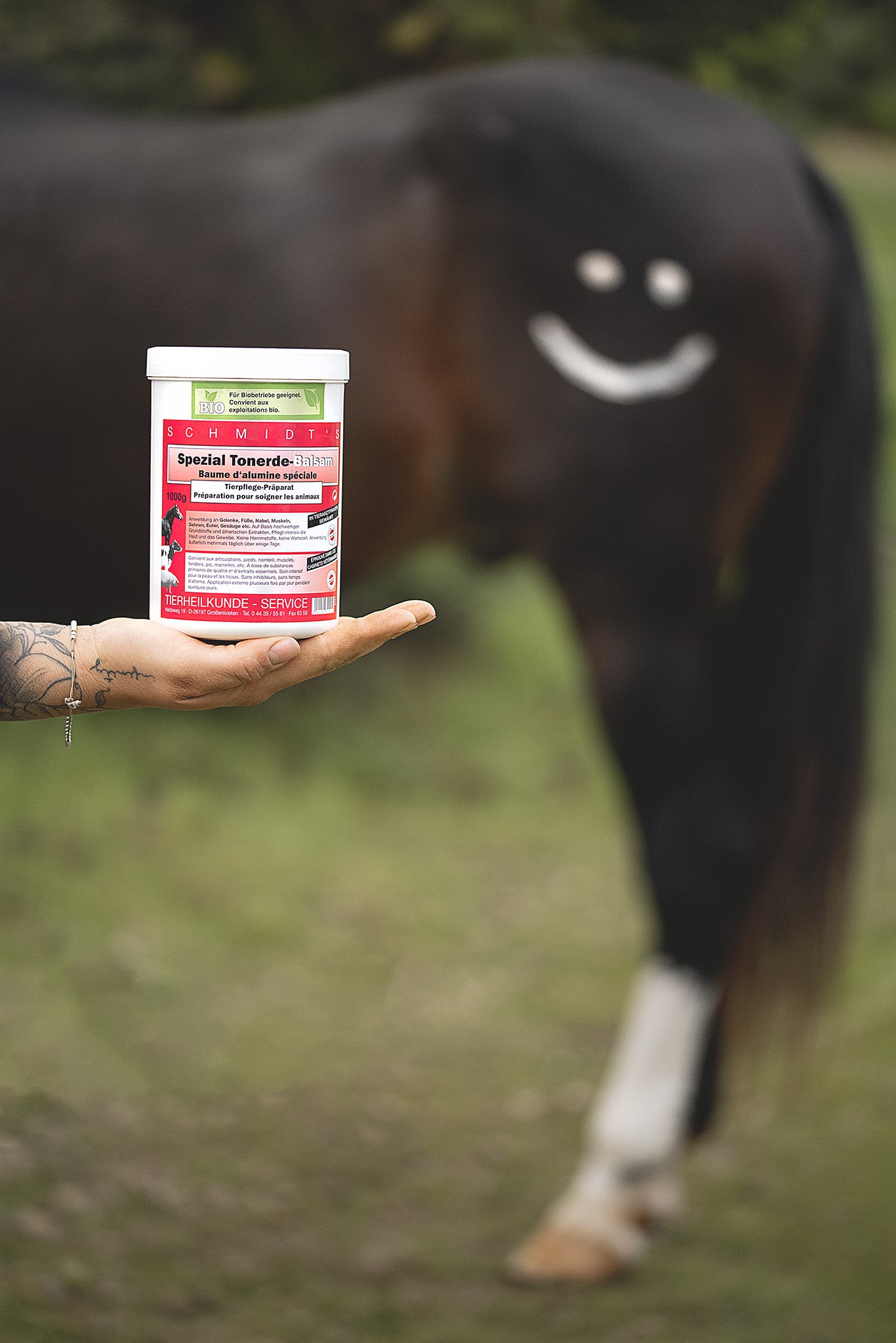 Schmidt’s Spezial Tonerde Balsam 1 kg Dose auf ausgestreckter Handfläche, im Hintergrund Pferd mit aus Tonerde gemaltem Smiley auf der Hinterhand