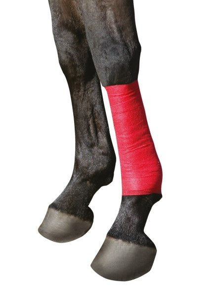 EquiLastic Bandage Maxi von Kerbl als stabiler Verband am Pferdebein – selbsthaftende, elastische Bandage für Huf- & Klauenpflege.