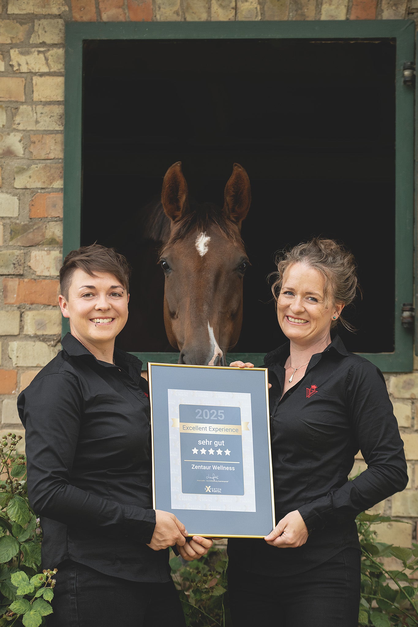 Zentaur Wellness vorm pferdestll mit Pferd Elisa in den Händen das Experten Siegel
