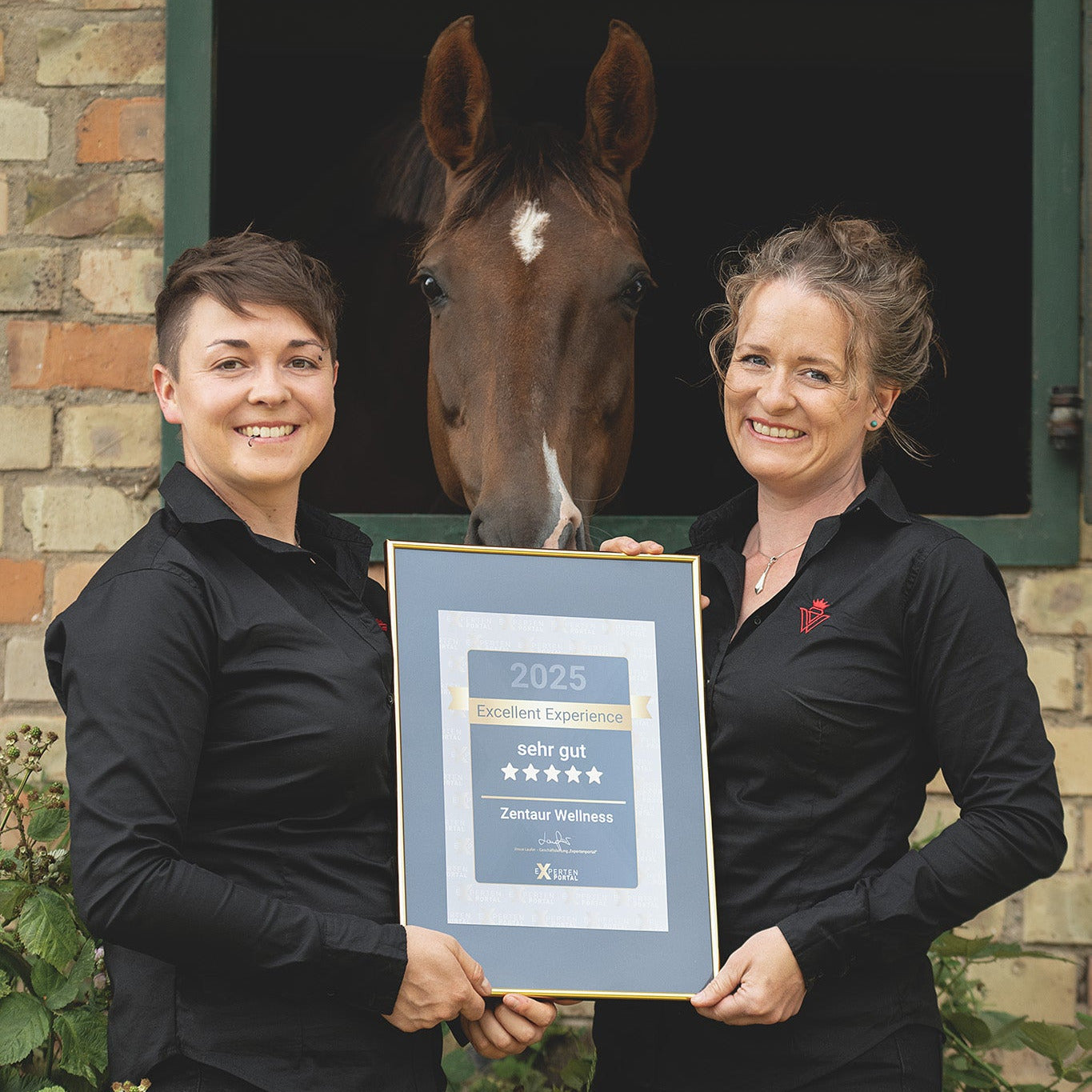 Die beiden Gründerinennen von Zentaur Wellness mit Ihrer Experten Auszeichnung vor der Box von Stute Elisa