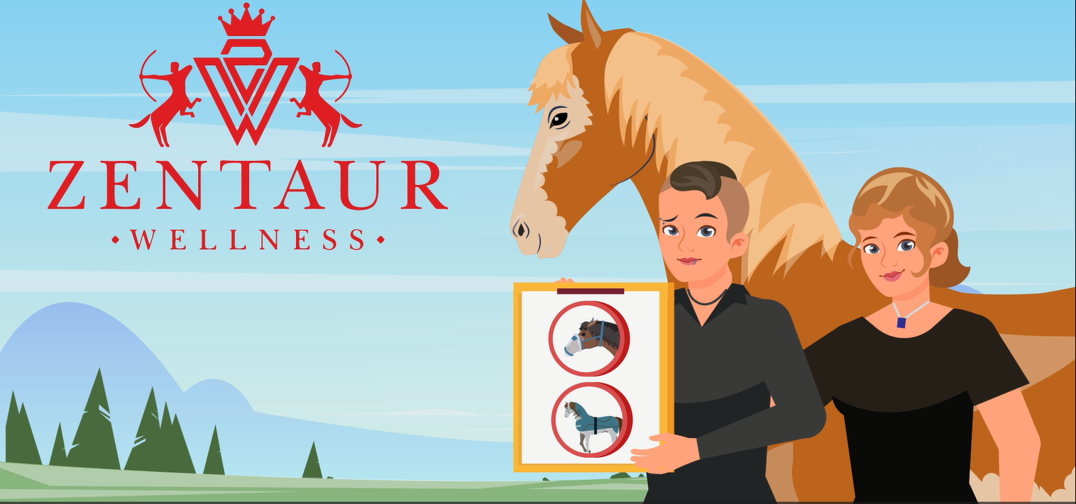 Zentaur Wellness Erklärvideo: wir präsentieren smarte Lösungen, wenn es deinem Pferd schlecht geht. Vermietung von Medizin und Therapie bedarf für mensch und Tier.