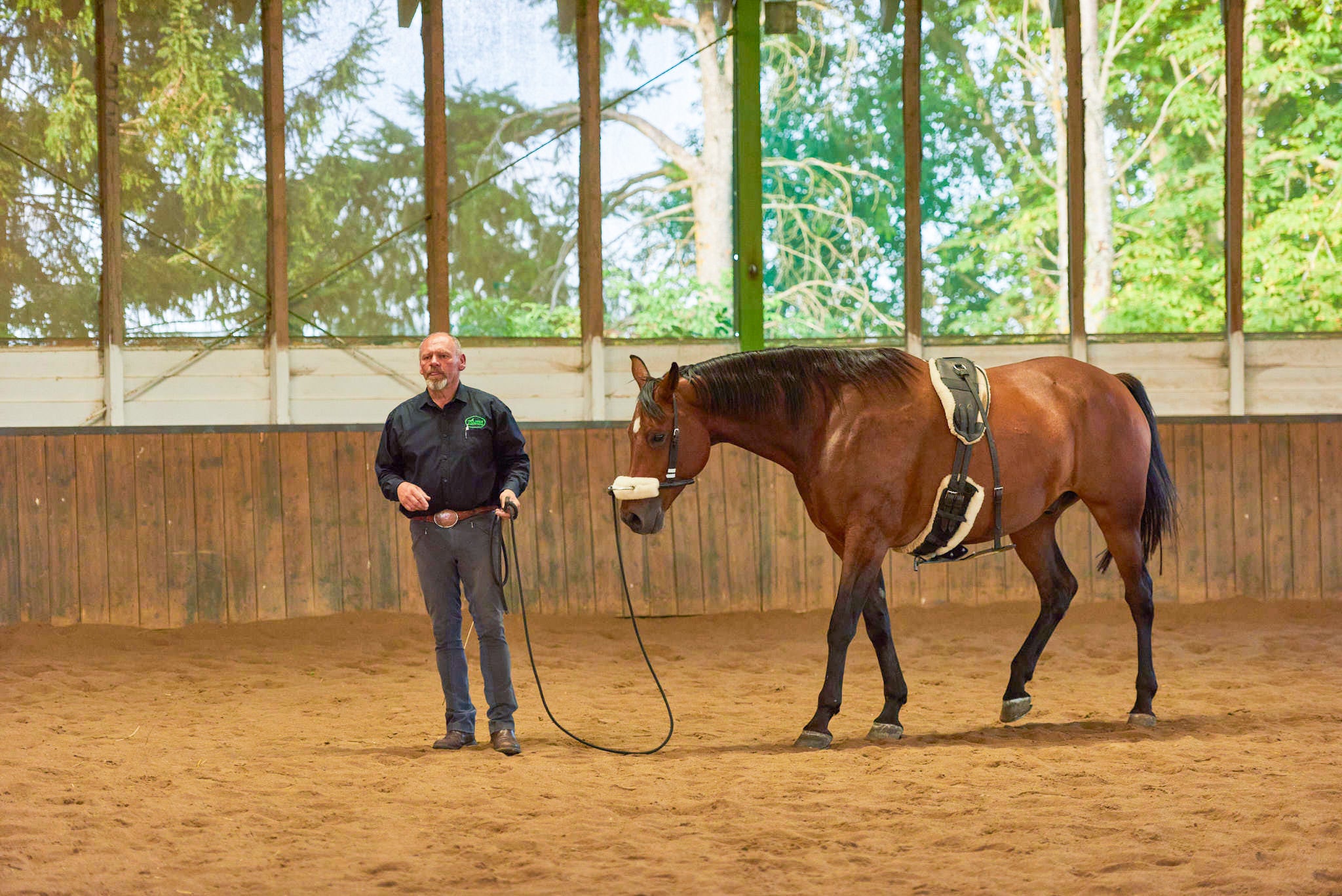 Bodenarbeit mit Horse Bodyformer zur Entwicklung gesunder Bewegungsmuster beim Pferd