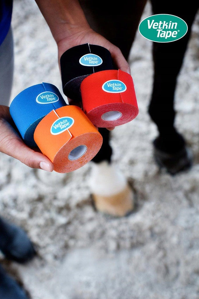 Vetkintape Kinesio Tapes in Blau, Schwarz. Orange und Rot - im Hintergrund ein Pferd bereit für das Physio-Taping