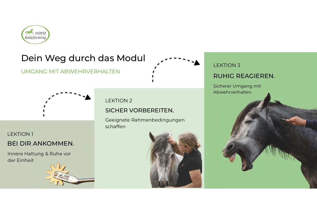Kursaufbau Umgang mit Abwehrverhalten beim Faszientraining: 3 Lektionen – ankommen, vorbereiten, ruhig reagieren