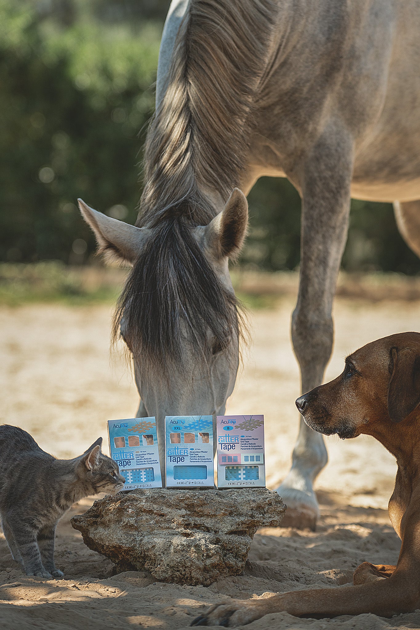 Acutop Gittertape Typ A, B und C mit Pferd, Hund und Katze in natürlicher Umgebung