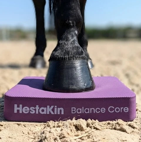 HestaKin Balance Pad unter dem Vorderhuf eines Pferdes