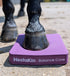 Pferd mit Vorderbeinen auf Balance Pads beim Balance Training