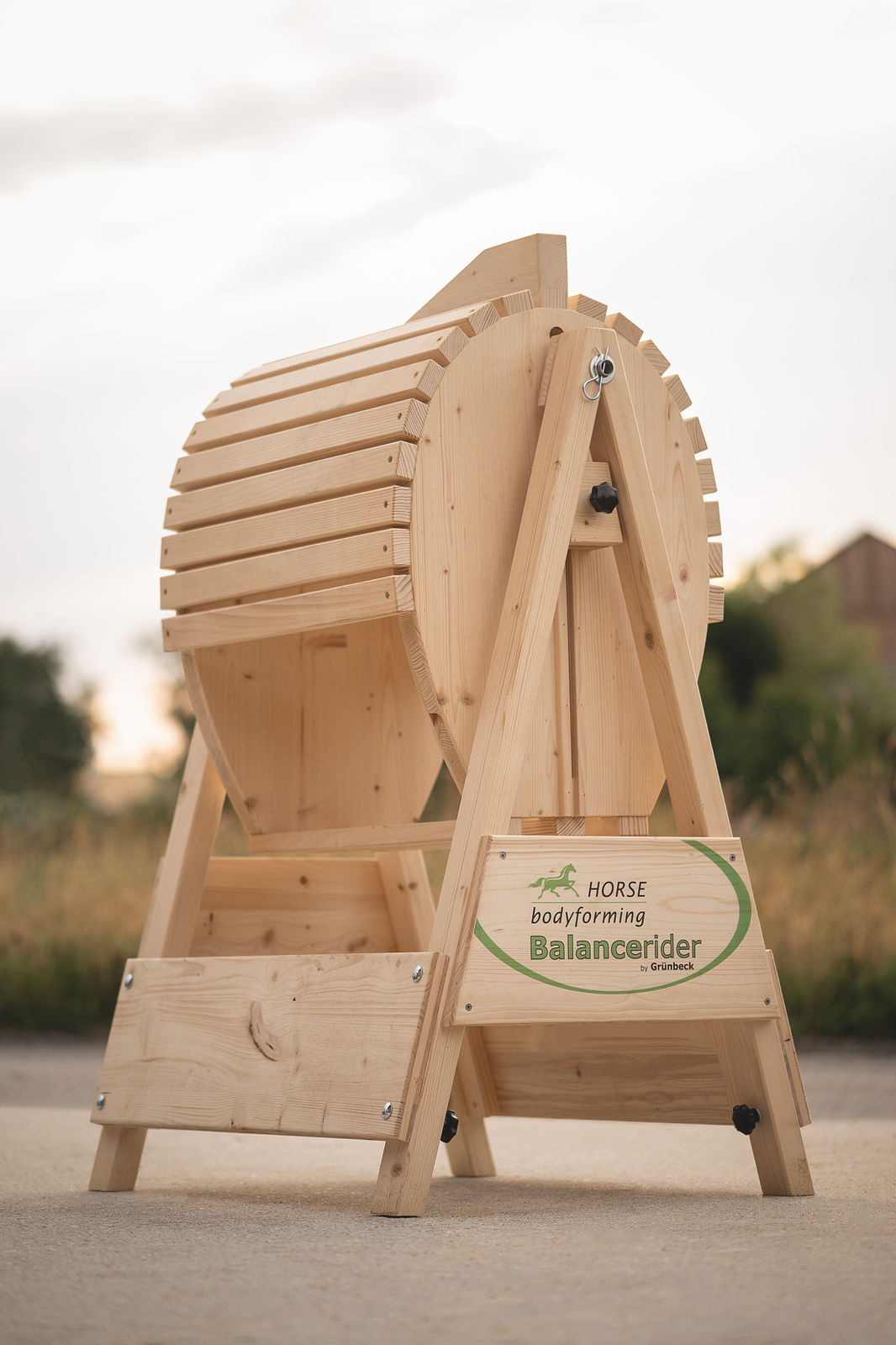 Balance Rider für Reiterfitness und Gleichgewichtstraining