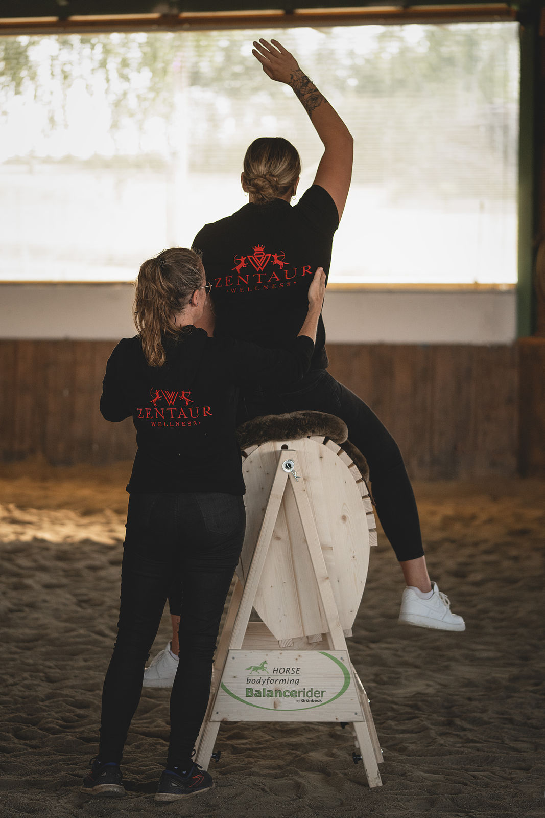 Balance Rider Anwendung mit therapeutischer Begleitung