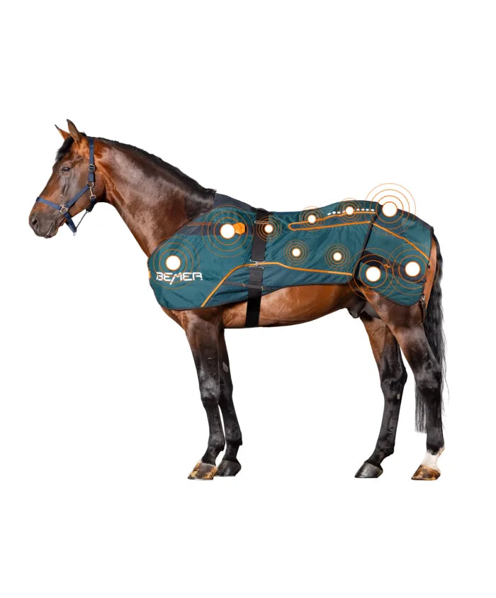 BEMER Pferdedecke auf braunem Pferd - dargestelltes Signalfeld deckt alle neuralgischen Punkte ab - optimale Magnetfeldtherapie