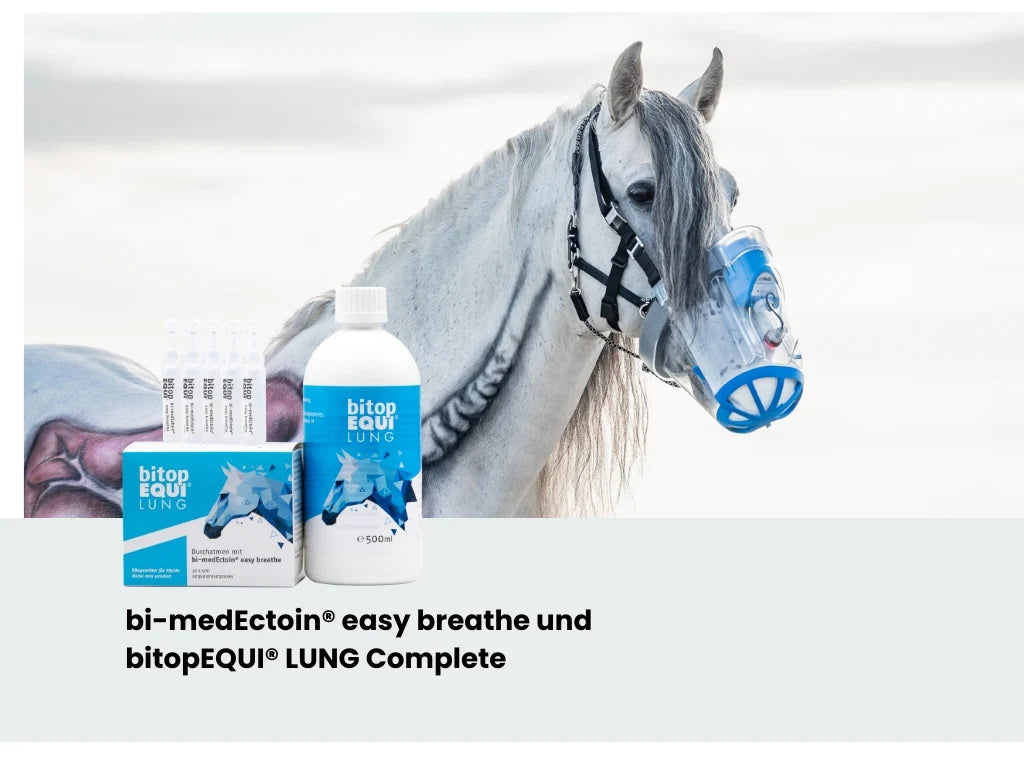 bitopEQUI LUNG Complete Inhalationslösung für Pferde mit Atemwegsproblemen, Husten und Allergien