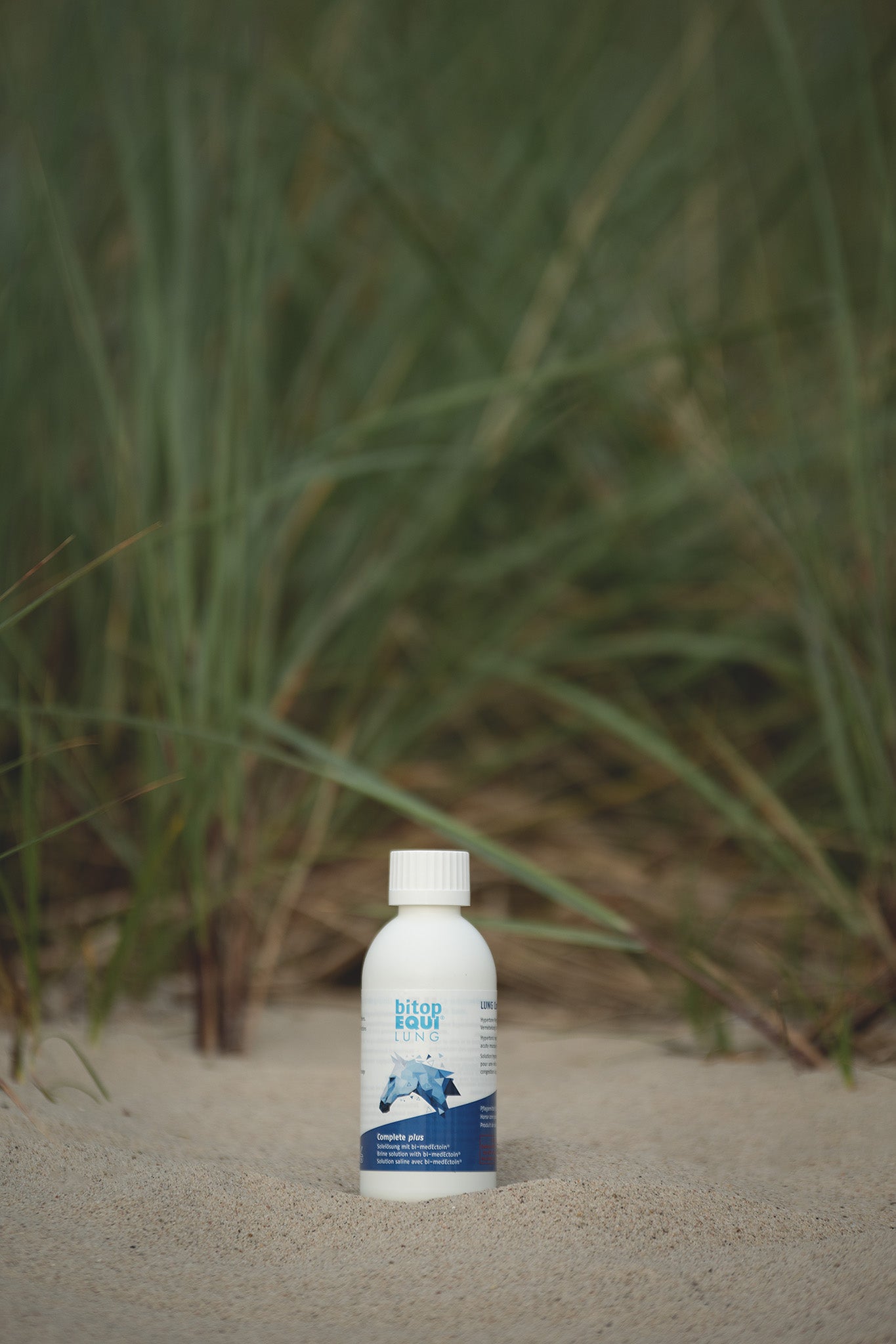 Inhalationslösung BitopEqui Lung Complete Plus für Pferde - am Strand -natürliche Therapie bei akutem Husten und Schleim