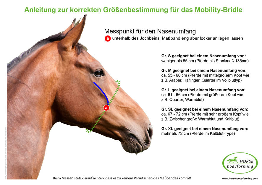 Mobility Bridle- Horse Bodyforming-Größe L- Jetzt mieten!