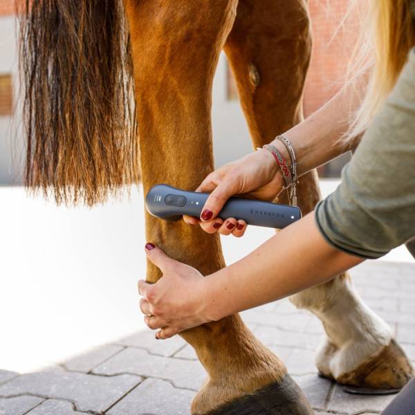 DAS NOVAFON power bei der Vibrationstherapie eines Pferde-Unterschenkels