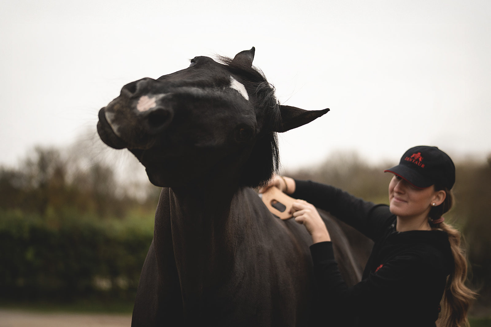 DasSpixie in der Anwendung zur Lösung von Verspannungen am Pferderücken - das Pferd genießt sichtlich die Massage