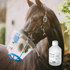 Ecotainer-Flasche mit sterilem Wasser für Inhalationsgeräte. Technische Reinigungslösung von B. Braun – pyrogenfrei & sicher. auf dem Bild mit einem Pferd bei der Inhalation mit dem SaHoMa-2 zu sehen.