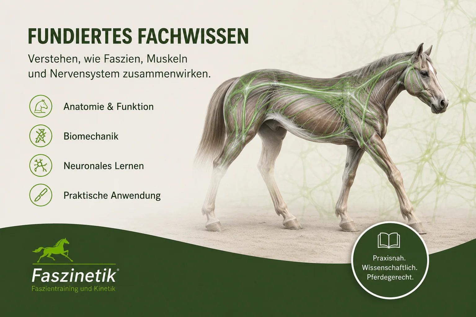 Fundiertes Fachwissen zu Faszien beim Pferd – Anatomie, Biomechanik und neuronales Lernen (Faszinetik)