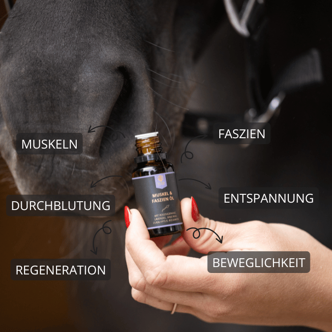 Wirkung des Faszienöls dargestellt - positive Effekte auf Muskeln, Faszien, Durchblutung, Entspannung, Regeneration und Beweglichkeit