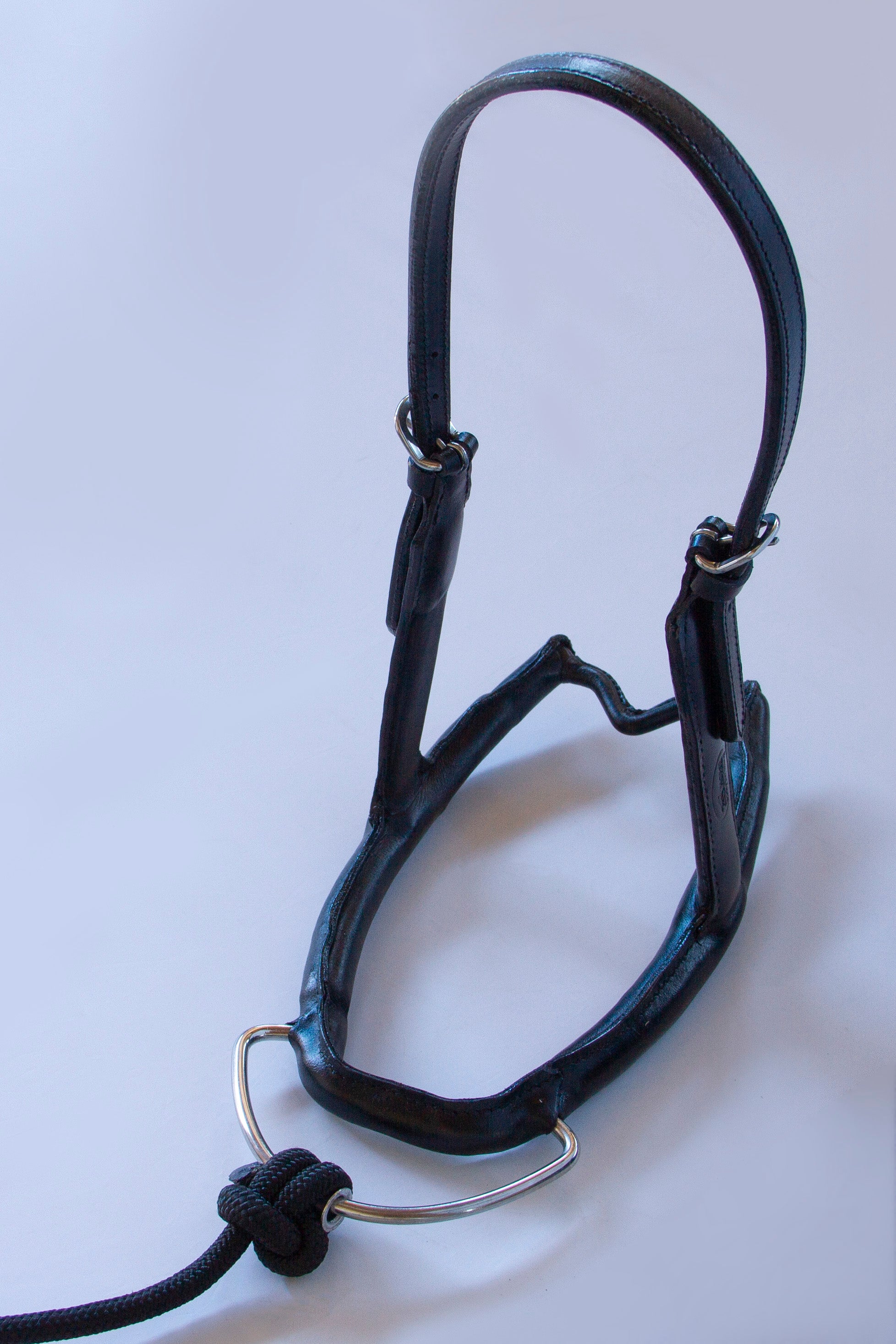 Nahaufnahme des Mobility Bridle von Franz Grünbeck mit geradem Genickstück zur Entlastung des Pferde-Nackens