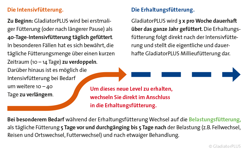 GladiatorPLUS - Milieufütterung für dein Pferd