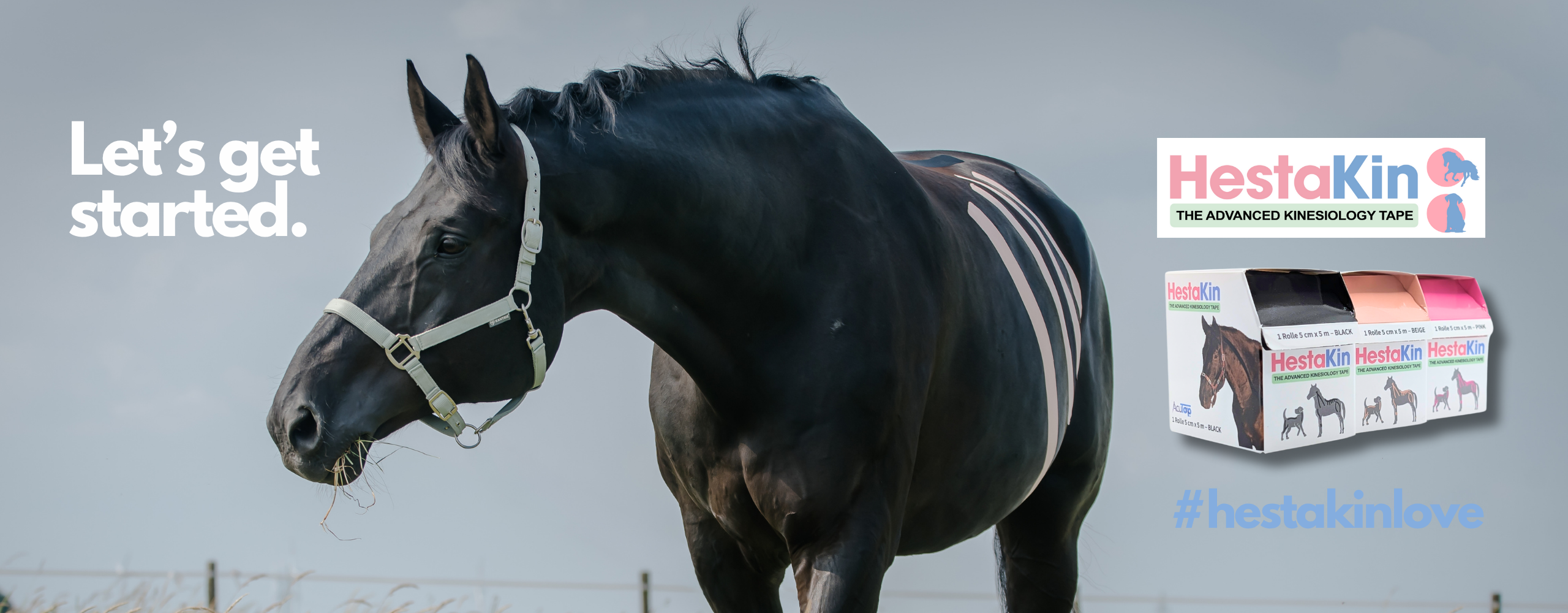 Fellgerechtes Kinesiologie Tape HestaKin bei einem Warmblutpferd