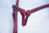 Horse Bodyforming Baby Headstall