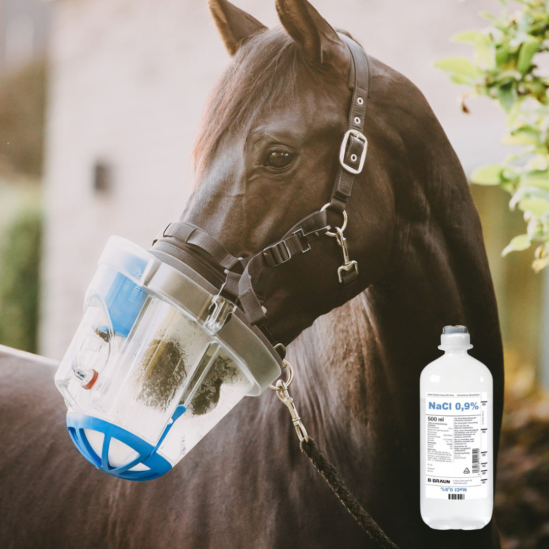 Isotonische Kochsalzlösung 0,9 % von B. Braun – 500 ml ecoflac®.
Schwarzes Pferd beim Inhalieren-Pflege und Befeuchtung der Atemwege mit Kochsalzlösung.