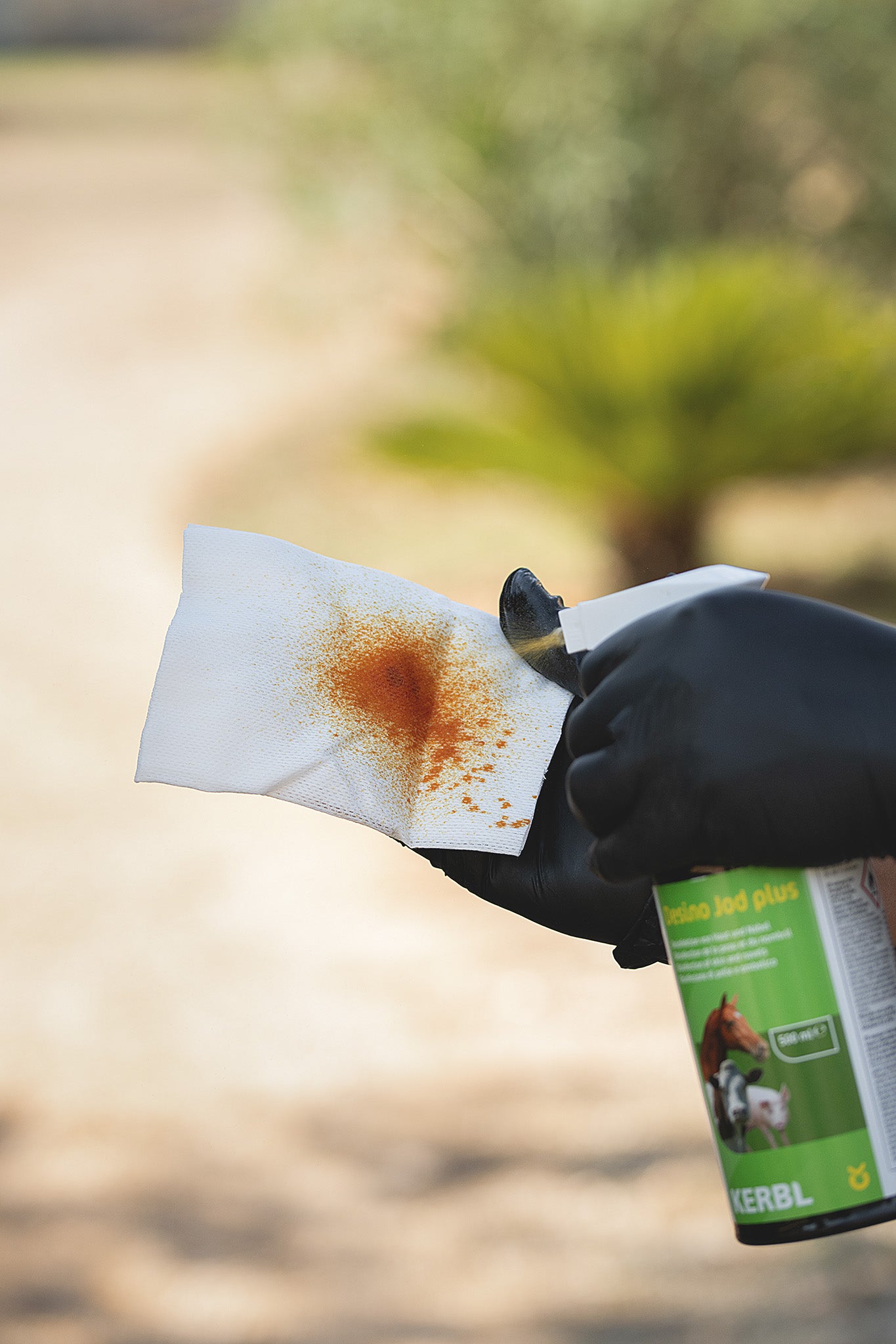 Kerbl Desino Jod Plus Desinfektionsspray wird auf Absorba Verbandsvlies zur Wunddesinfektion aufgesprüht