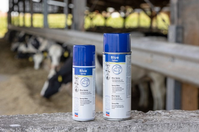 200 ml und 400 ml Dosen Blauspray von Kerbl stehen im Kuhstall bereit zur Hautpflege und Desinfektion