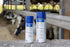 200 ml und 400 ml Dosen Blauspray von Kerbl stehen im Kuhstall bereit zur Hautpflege und Desinfektion