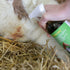 Desino Jod Plus Desinfektionsspray von Kerbl – Haut- und Klauenpflege für Tiere. Auf dem Bild sieht man wie eine Wunde it dem Jospray behandelt wird