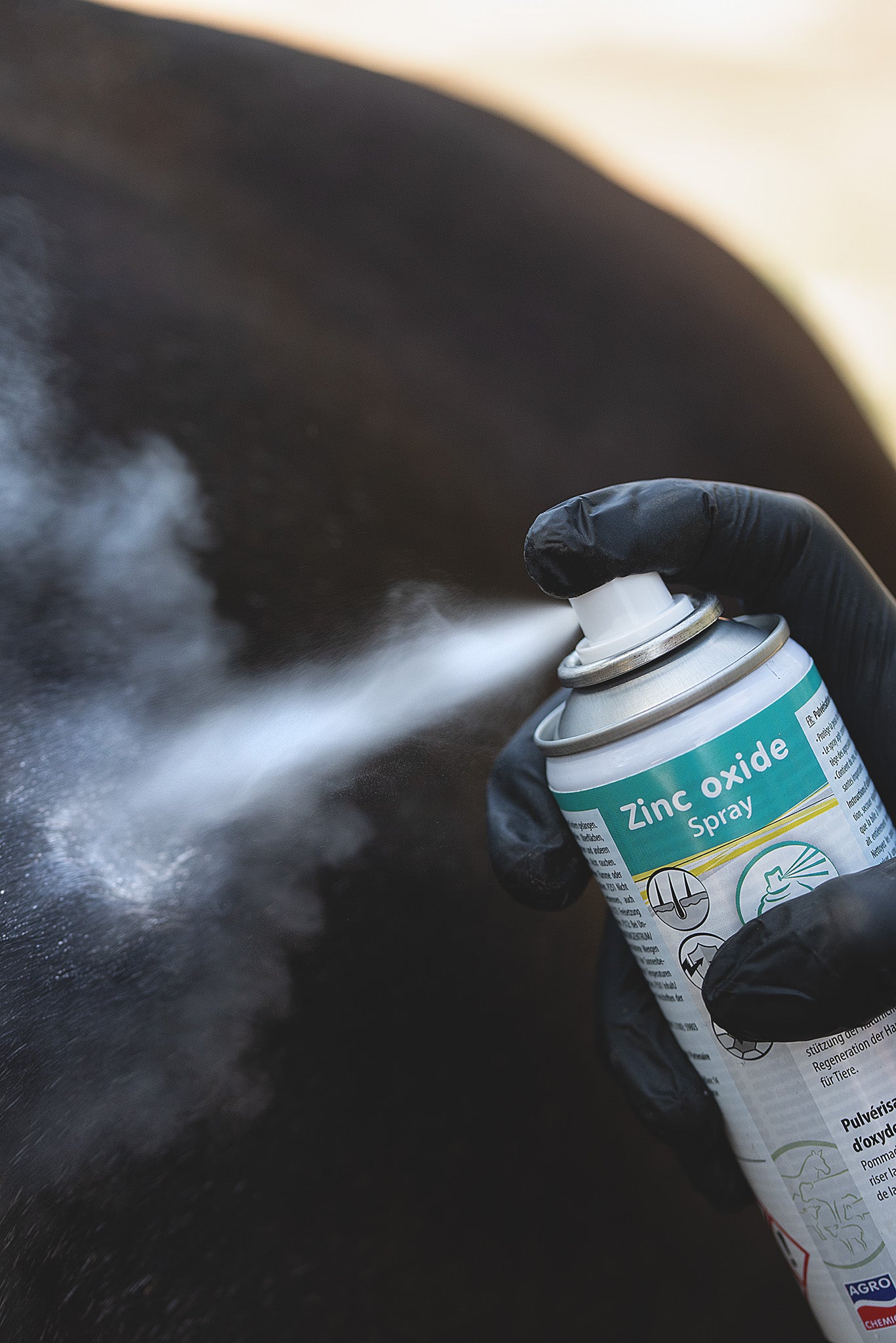 Kerbl Zinkoxid Salbenspray 200 ml wird auf Pferdehaut zur Pflege von Wunden aufgetragen
