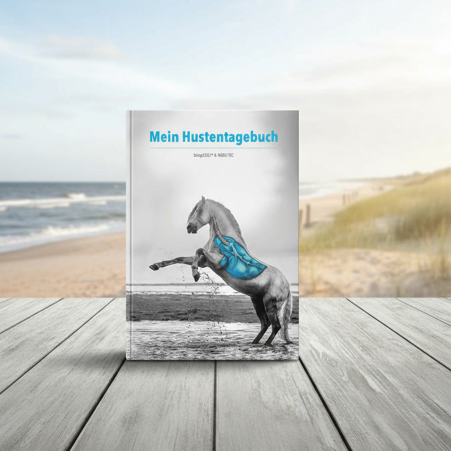 Tagebuch zur Dokumentation von Pferdehusten mit Inhalationssystem BitopEQUI - Hintergrund: stimmungsvolles Strandmotiv