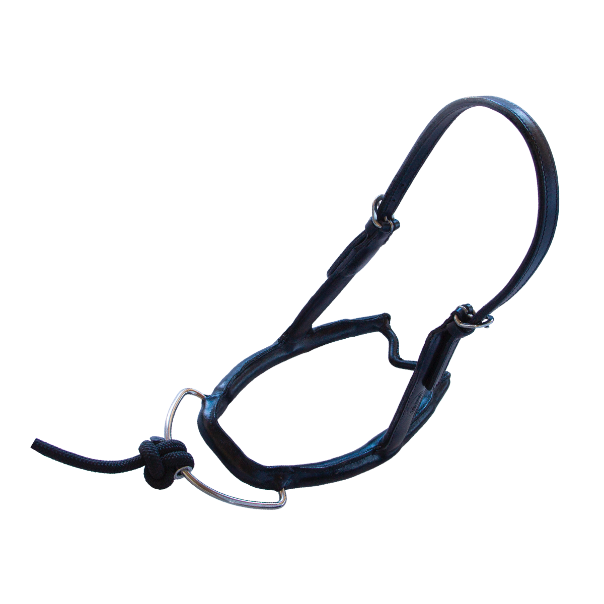 Mobility Bridle- Horse Bodyforming-Größe SL- Jetzt mieten!
