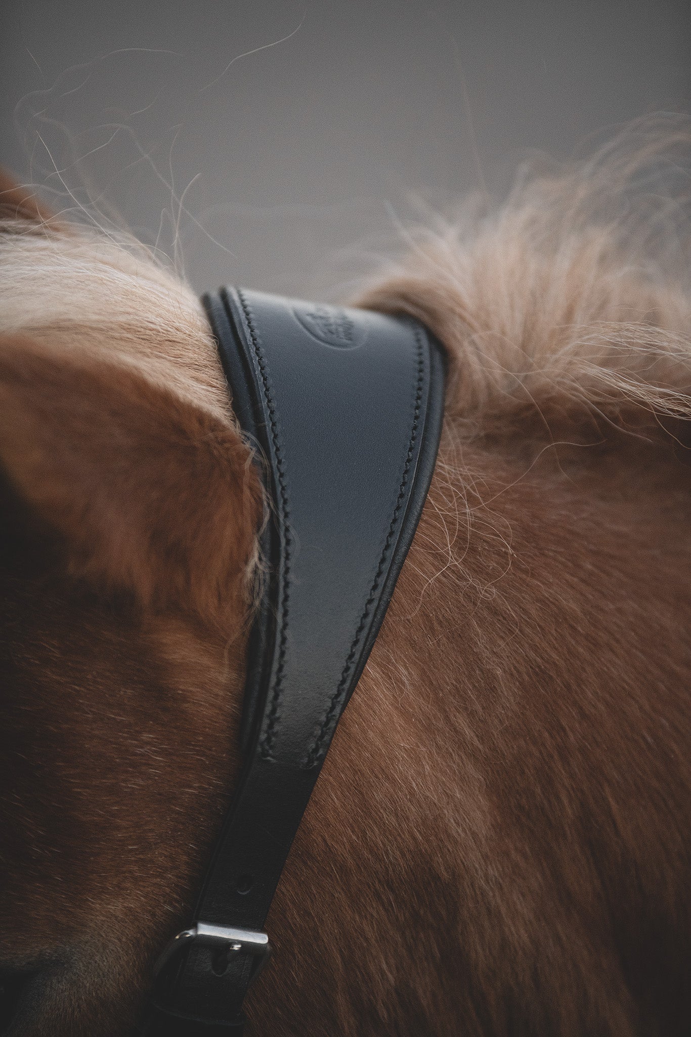 Ergonomisches Genickstück des Mobility Bridle von Franz Grünbeck in Detailaufnahme