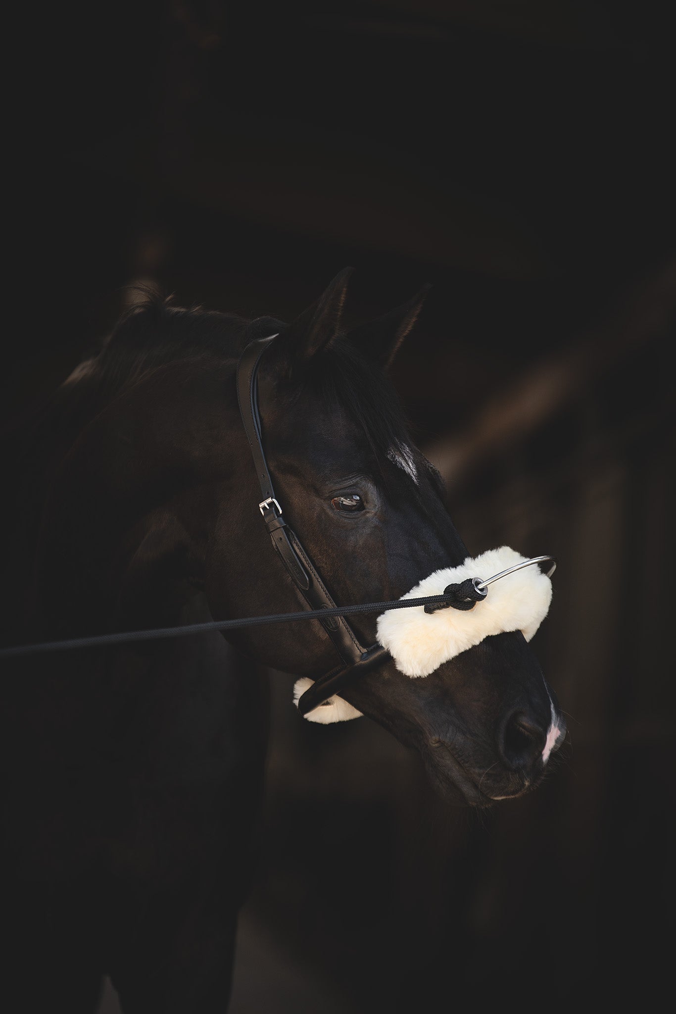 Pferd trägt Mobility Bridle mit Nose und Chin- Cover zur Verbesserung der Kopf-Hals-Haltung