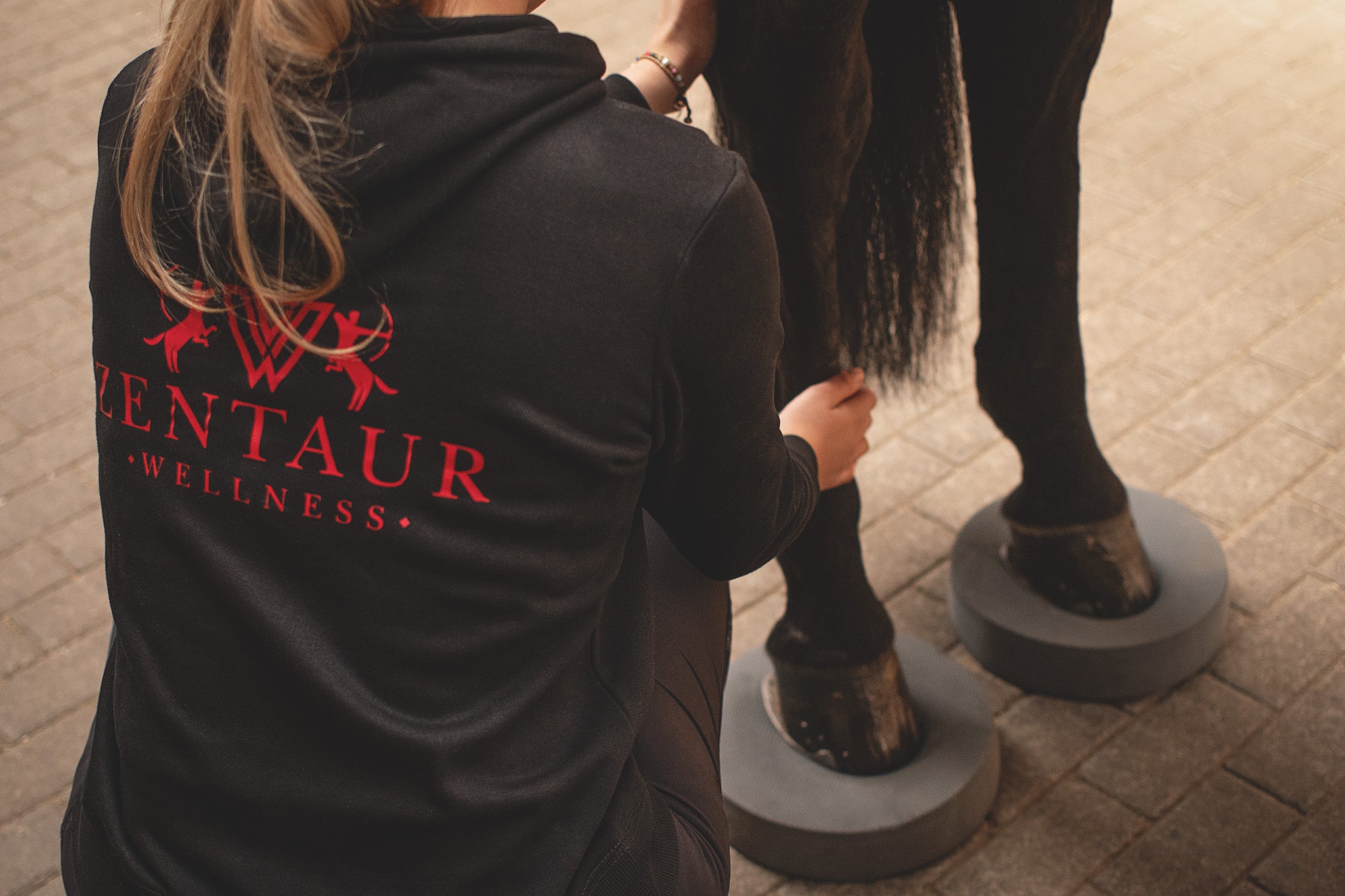 Bewegungstraining mit Balance Pads – Pferd verbessert Gleichgewicht und Stabilität