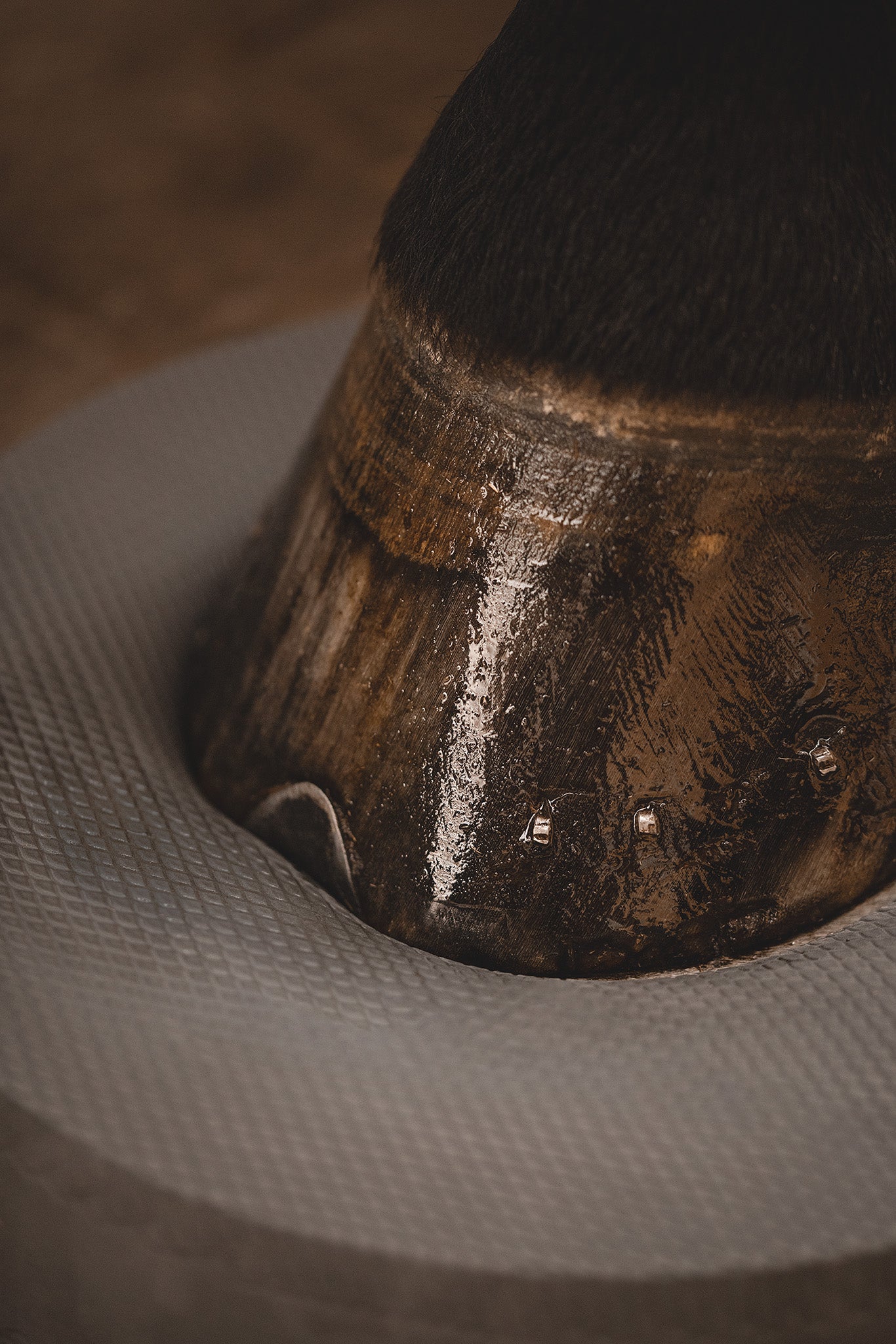 Detailansicht: Robuste Struktur der NØRSHOLM Balance Pads für Pferde