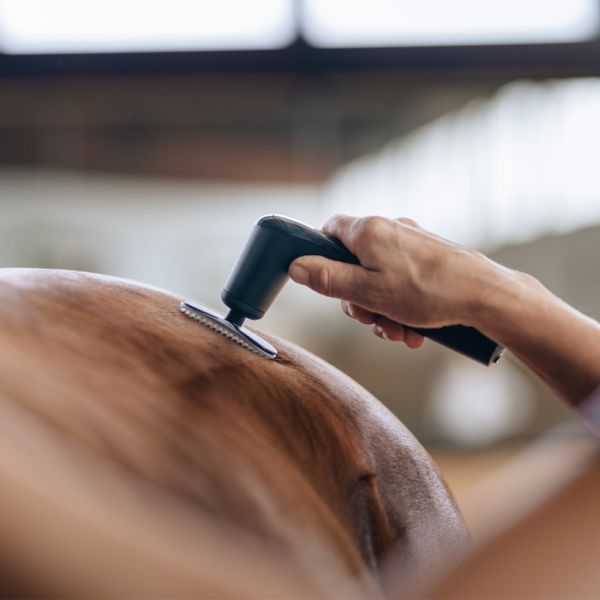 Novafon Modular-Set – Noppen-Aufsatz bei extra stimulierender Schallwellentherapie am Pferd