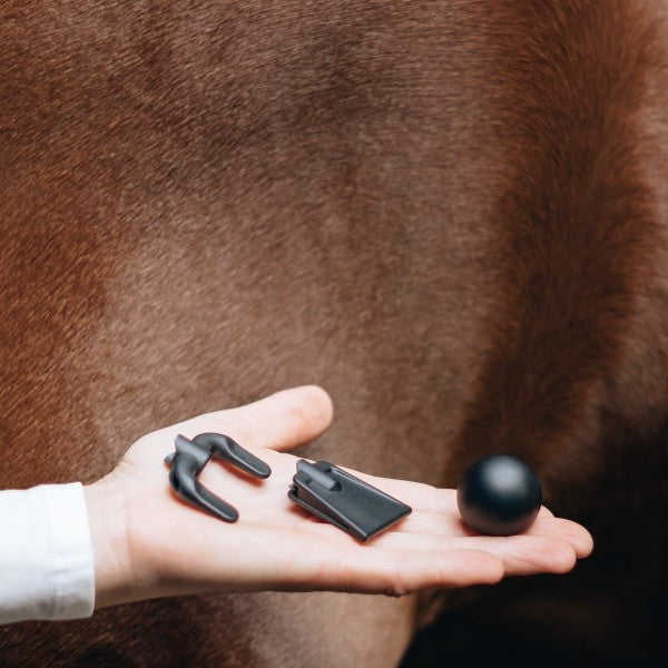 Novafon Physio-Set liegt auf einer Hand, Pferd im Hintergrund - wirksame Faszienbehandlung für Pferde