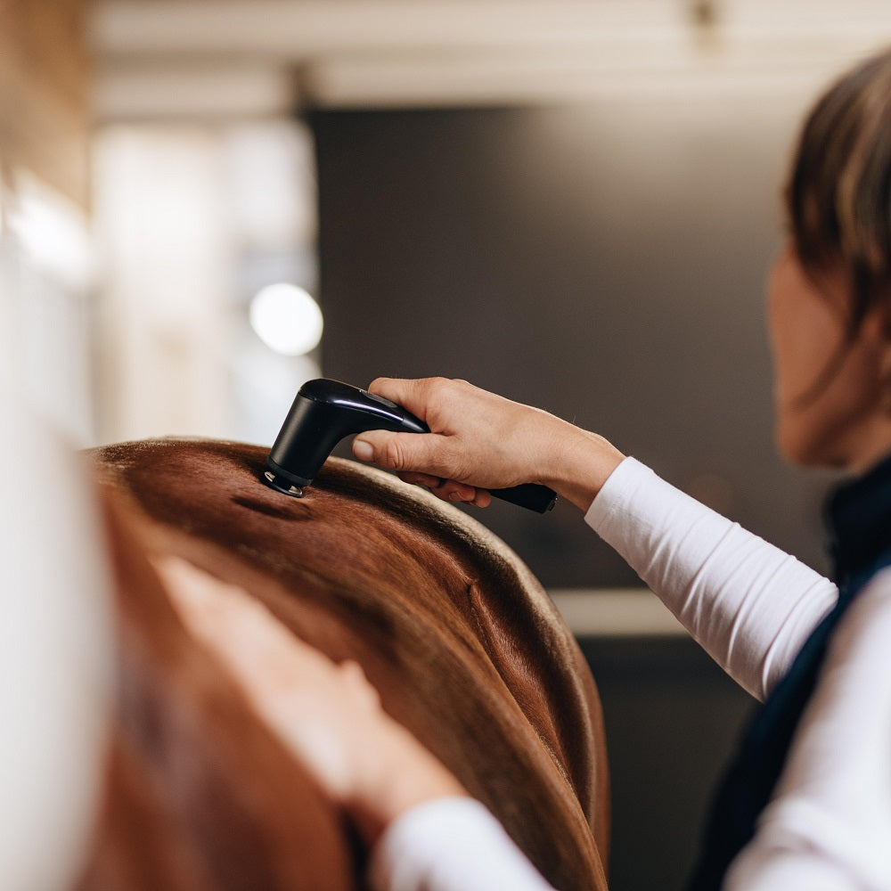 Anwendung des NOVAFON Power 2 am Rücken eines Pferdes zur tiefenwirksamen Schmerzlinderung