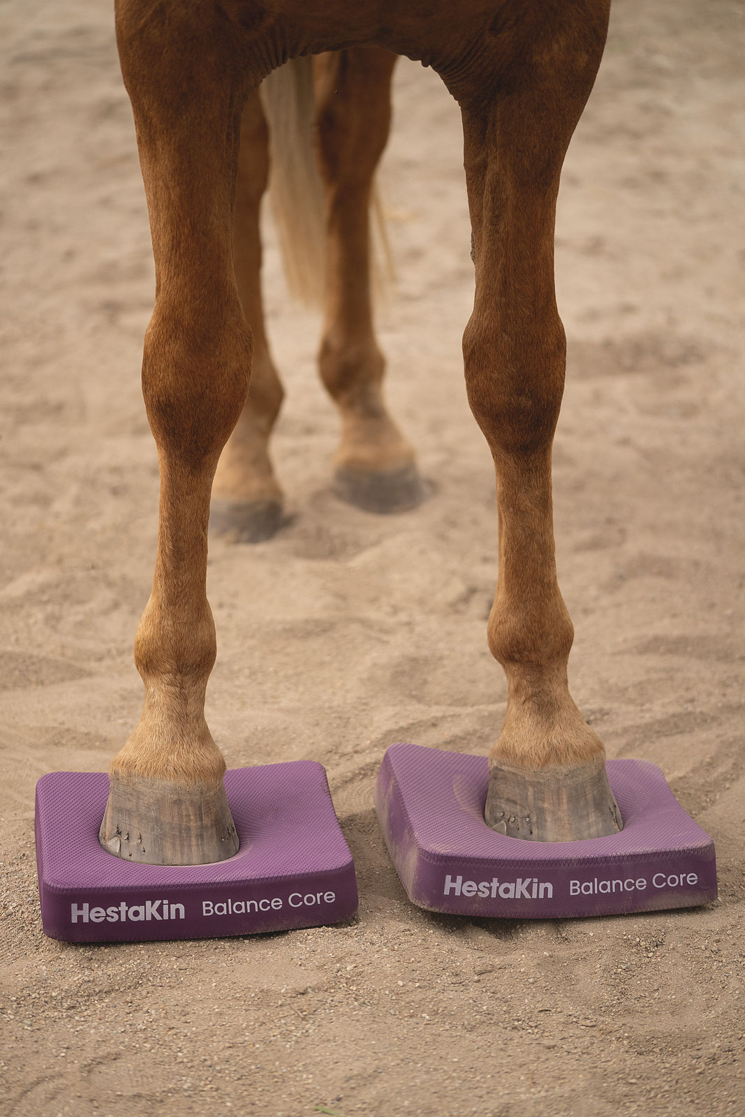Pferdehuf auf HestaKin Balance Core Pad beim Training