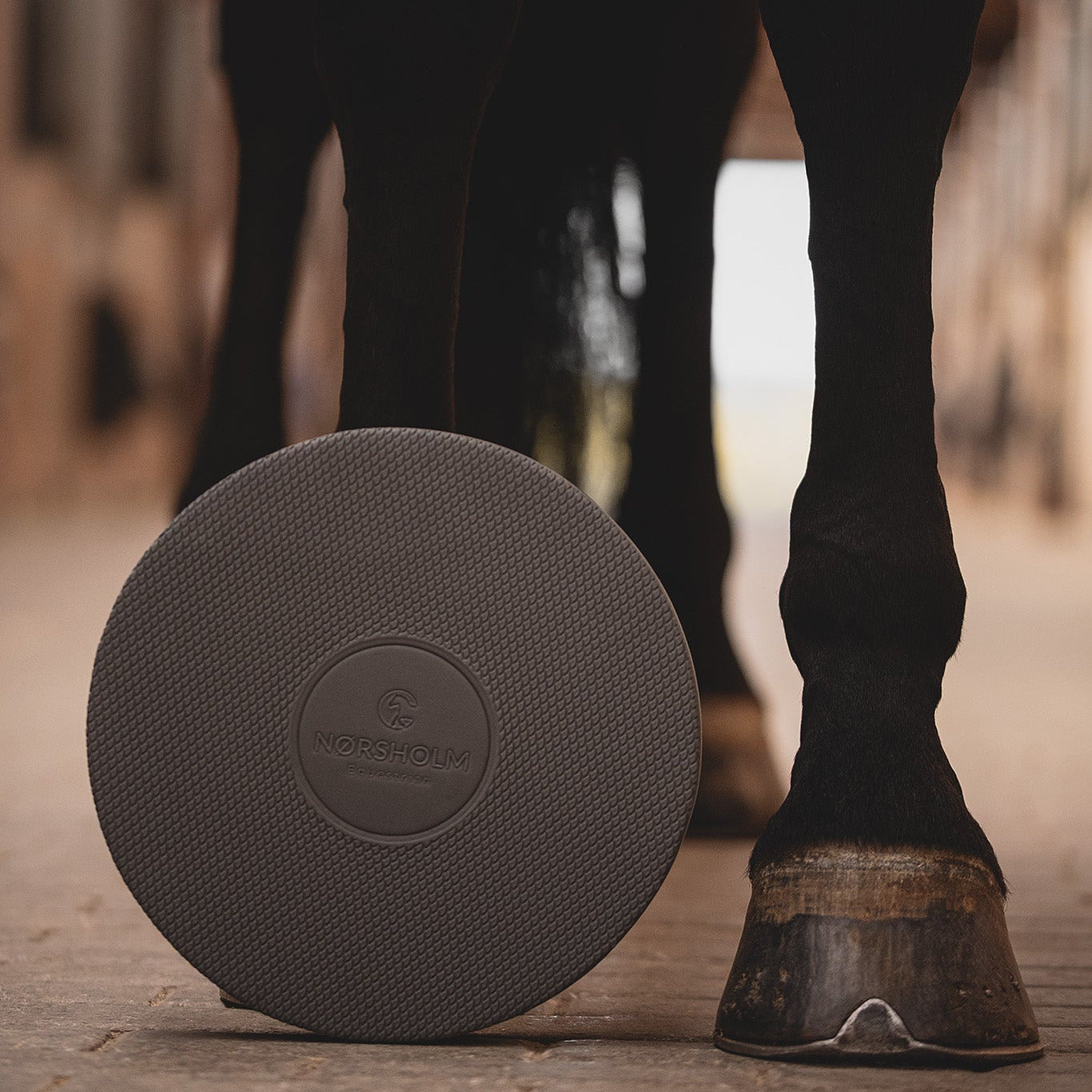 Pferd steht neben NØRSHOLM Balance Pad in der Stallgasse – Vorbereitung auf das Gleichgewichtstraining