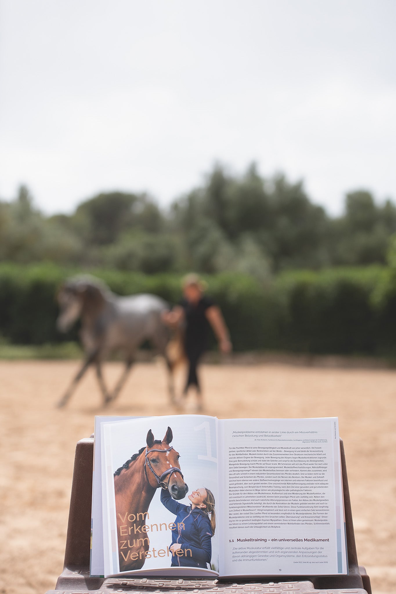 Pferdemuskeln managen: Aufgeschlagenes Buch zeigt Bild, Text und Überschrift 