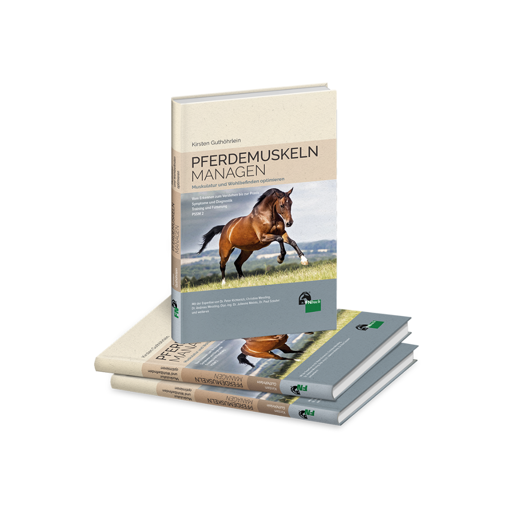Buchcover Pferdemuskeln managen – Training, Fütterung und Muskelgesundheit