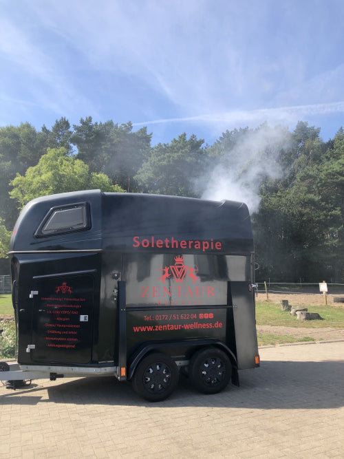 Leistungsstarker Ultraschallvernebler erzeugt Nebel für Soletherapie im Pferdeanhänger - leises Gerät, geeignet für geräuschempfindliche Pferde