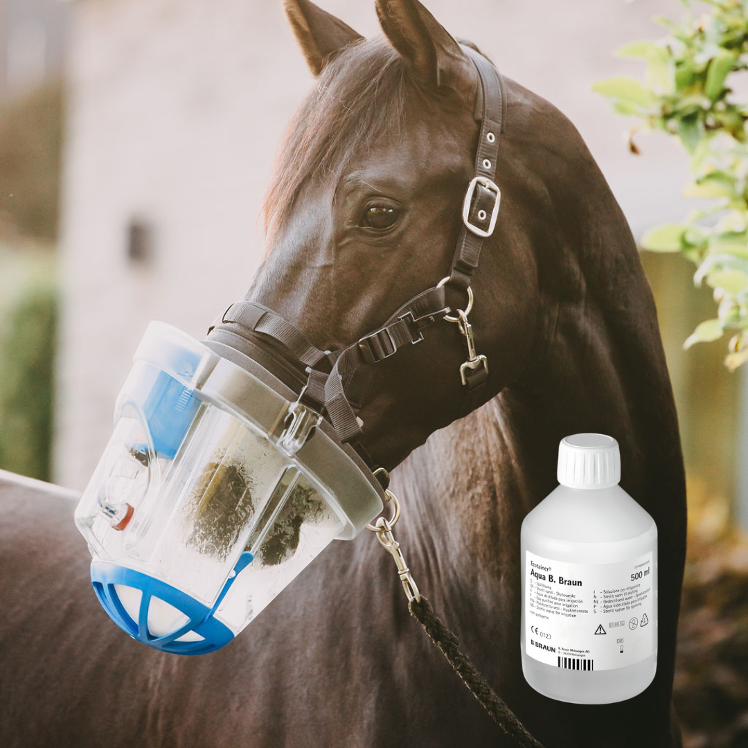 Ecotainer-Flasche mit sterilem Wasser für Inhalationsgeräte steht neben einem Pferd bei der Inhalation mit dem SaHoMa-2 - Technische Reinigungslösung von B. Braun – pyrogenfrei & sicher.
